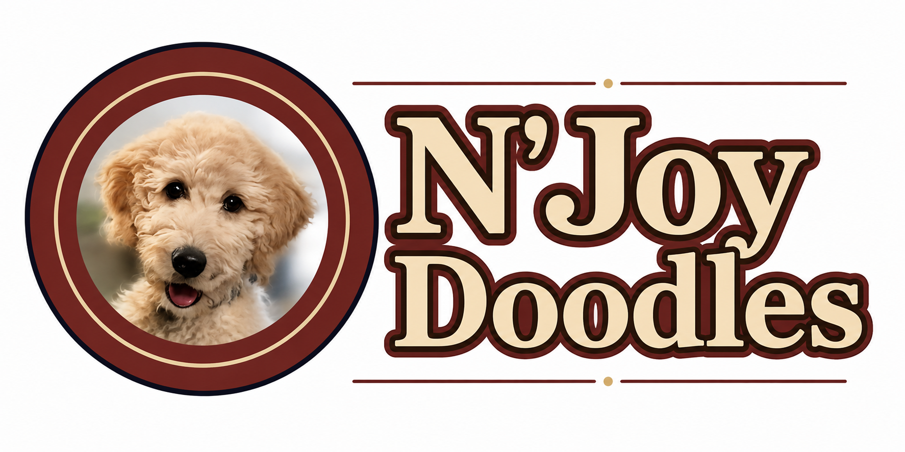 N'Joy Doodles Logo